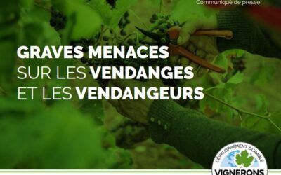 Réchauffement climatique et viticulture : une première étude alarmante sur l’impact humain